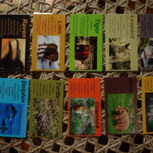 10 Lot Animal Guardians