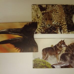 3 RFID Protector Sleeves- Raven-Wolf-Leopard