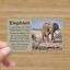 elephant affirmation card